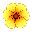 Sakura Flower #43310 Yellow Poppy (0.8%)